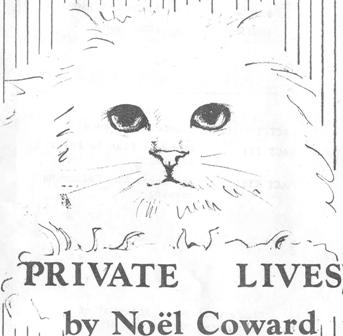 Private Lives poster image